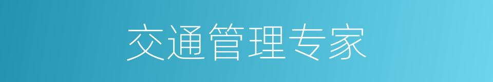 交通管理专家的同义词