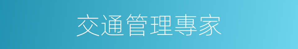 交通管理專家的同義詞