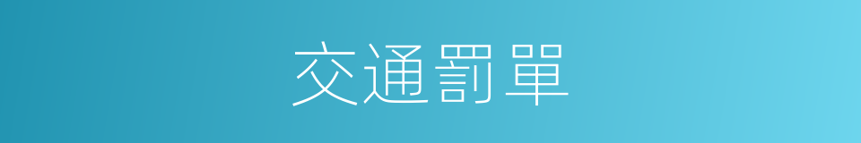 交通罰單的同義詞