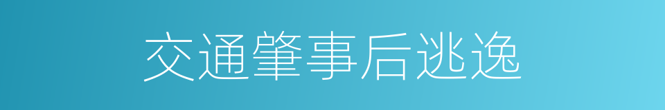 交通肇事后逃逸的同义词