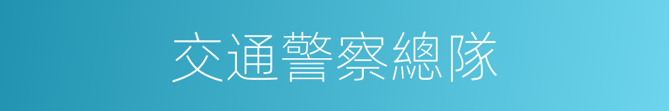 交通警察總隊的同義詞