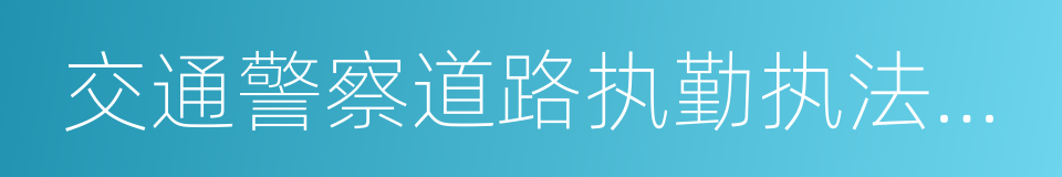 交通警察道路执勤执法工作规范的同义词