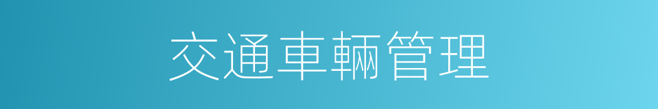 交通車輛管理的同義詞