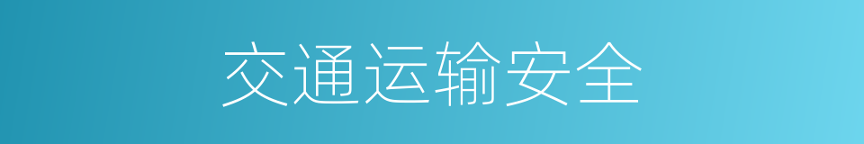交通运输安全的同义词