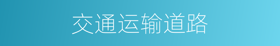 交通运输道路的同义词