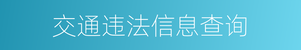 交通违法信息查询的同义词