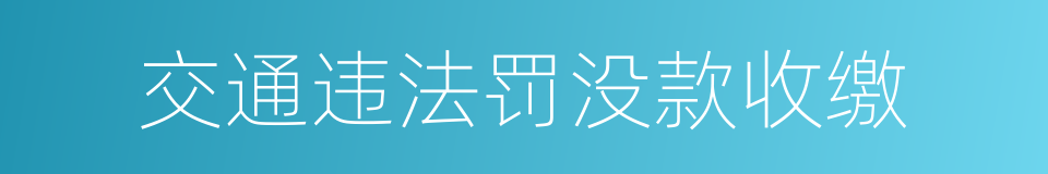 交通违法罚没款收缴的同义词