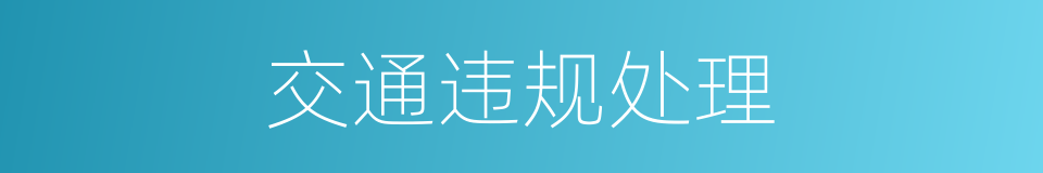 交通违规处理的同义词