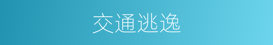 交通逃逸的同义词