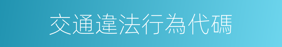 交通違法行為代碼的同義詞