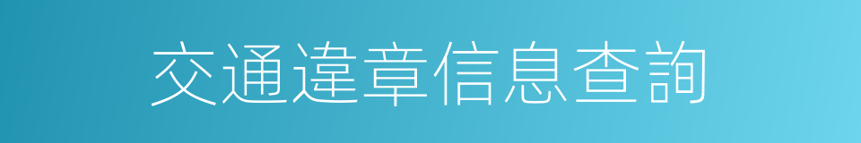 交通違章信息查詢的同義詞
