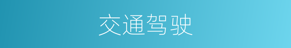 交通驾驶的同义词