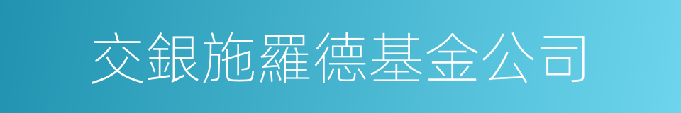 交銀施羅德基金公司的同義詞