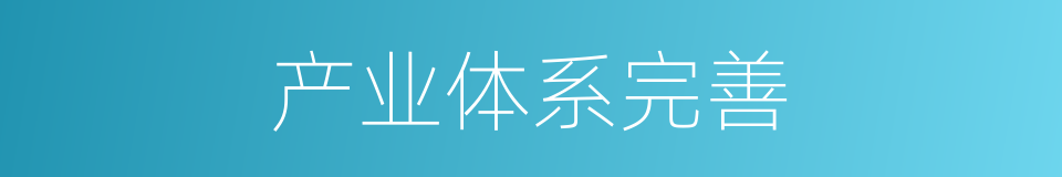 产业体系完善的同义词