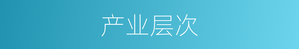 产业层次的同义词