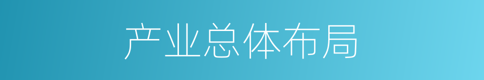 产业总体布局的同义词