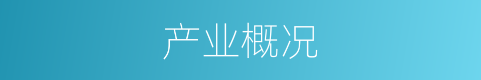产业概况的同义词