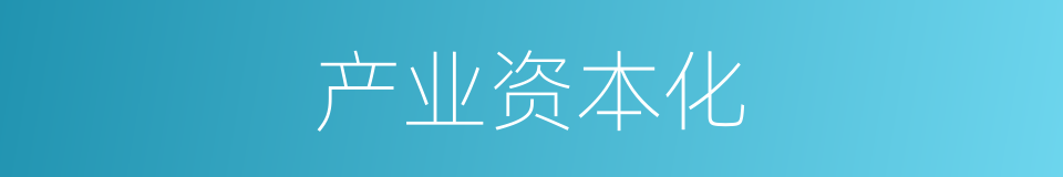 产业资本化的同义词