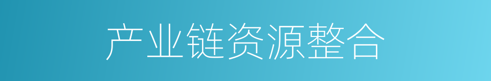 产业链资源整合的同义词