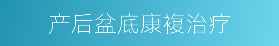 产后盆底康複治疗的同义词