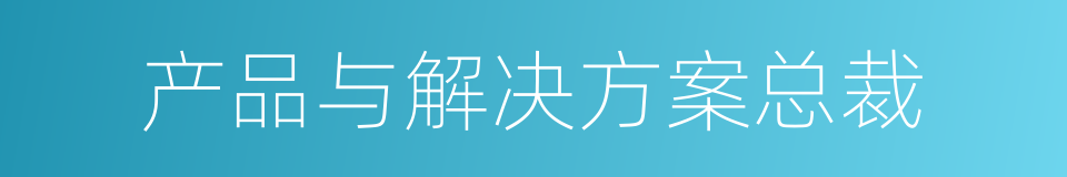 产品与解决方案总裁的同义词