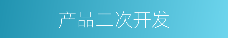 产品二次开发的同义词