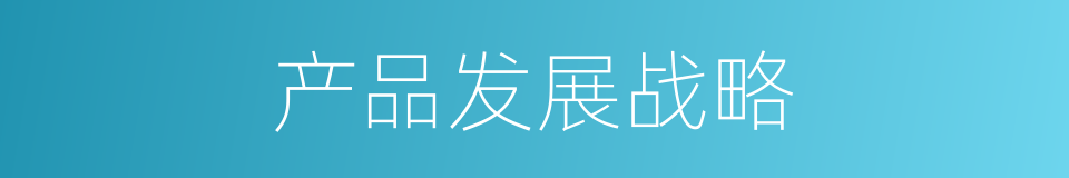 产品发展战略的同义词