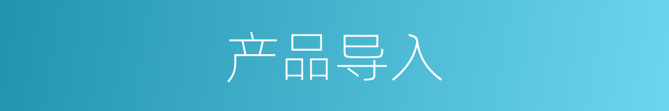 产品导入的同义词