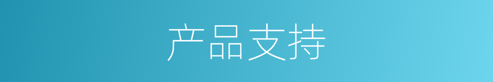 产品支持的同义词