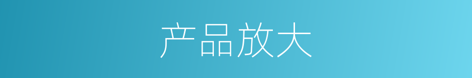 产品放大的同义词