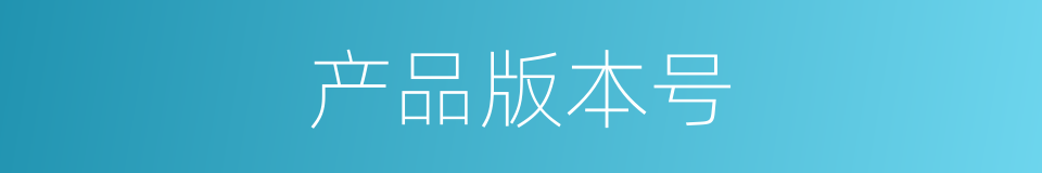 产品版本号的同义词