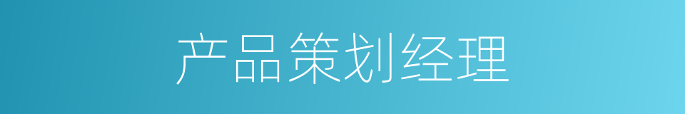 产品策划经理的同义词