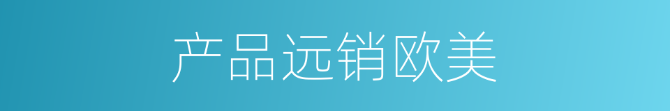 产品远销欧美的同义词