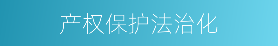 产权保护法治化的同义词