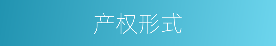 产权形式的同义词