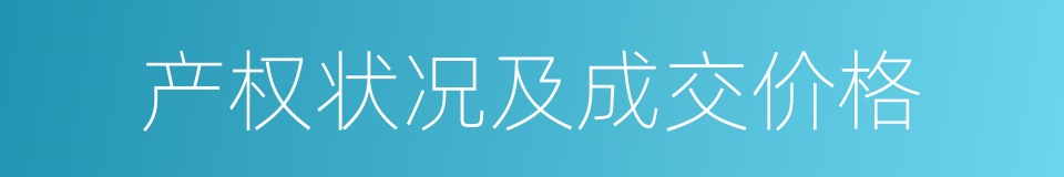 产权状况及成交价格的同义词