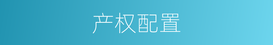 产权配置的同义词