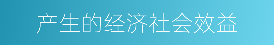 产生的经济社会效益的同义词