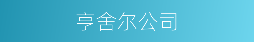 亨舍尔公司的同义词