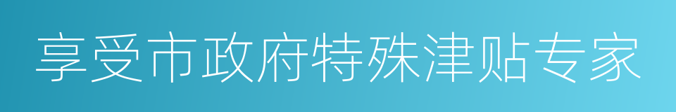 享受市政府特殊津贴专家的同义词