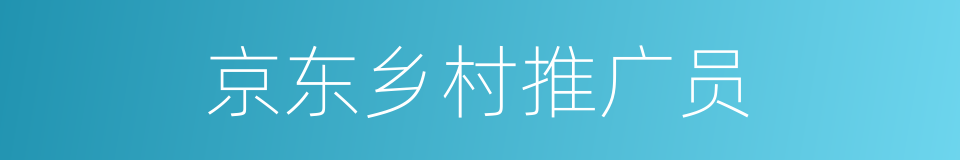 京东乡村推广员的同义词