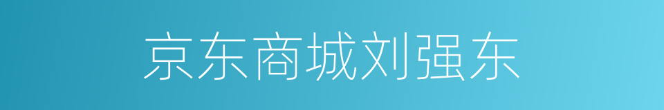 京东商城刘强东的同义词