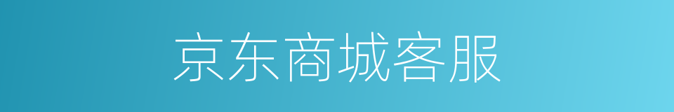 京东商城客服的同义词