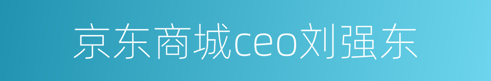 京东商城ceo刘强东的同义词