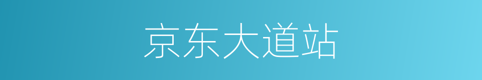 京东大道站的同义词