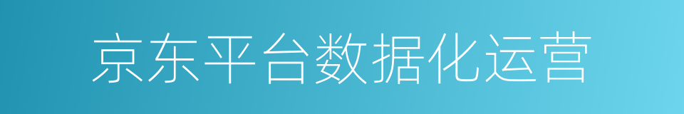 京东平台数据化运营的同义词