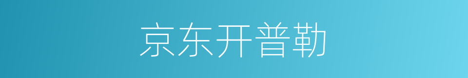 京东开普勒的同义词