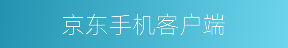 京东手机客户端的同义词