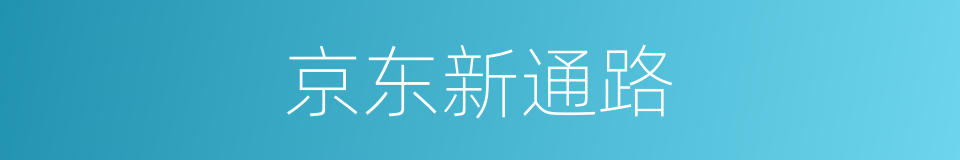 京东新通路的同义词