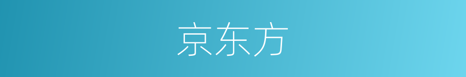 京东方的同义词